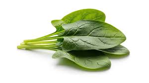 Vegetables spinach fresh green leaves rich in nutrition