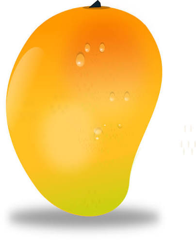 Mango Benefits for Health and Nutrition