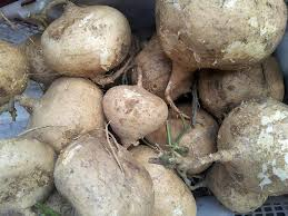 Sweet Potato Benefits for Athletes