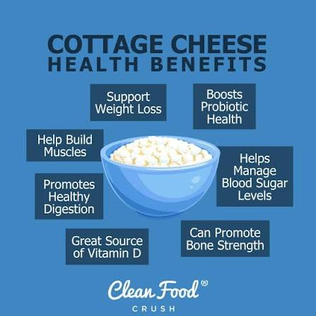 cottage cheese benefits